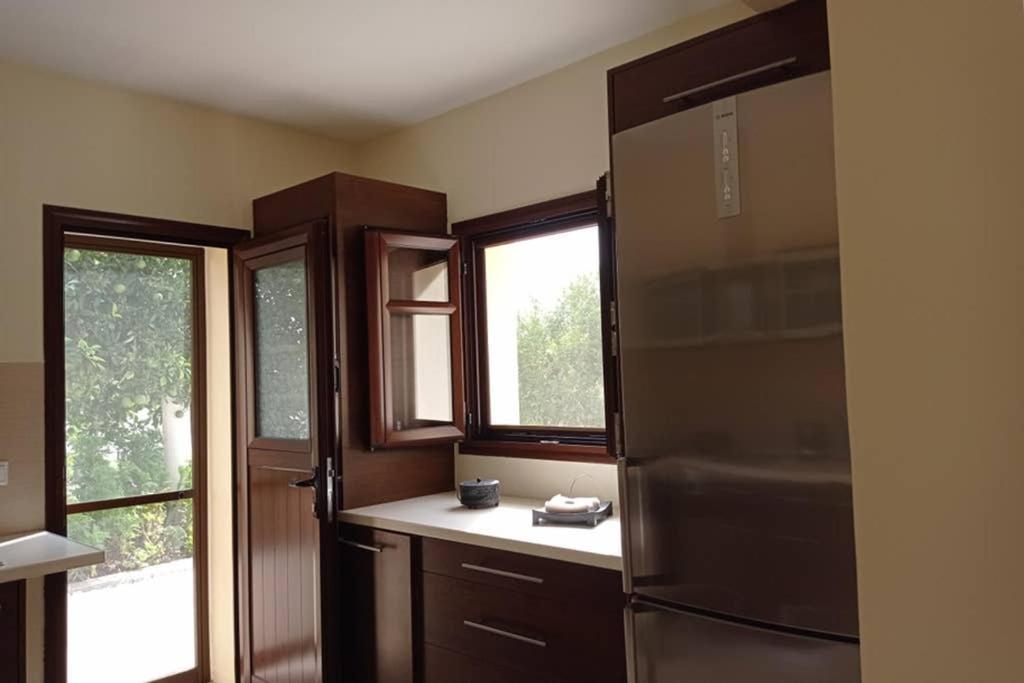 Afroditis'S & Makis'S Apartment ليونِذيو المظهر الخارجي الصورة