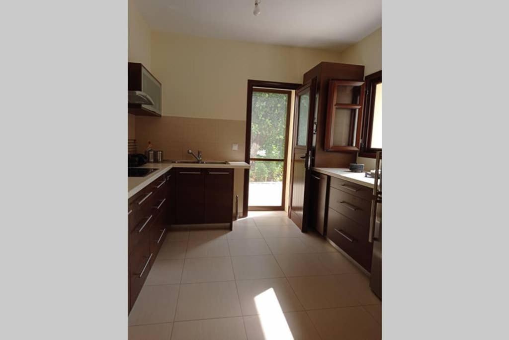 Afroditis'S & Makis'S Apartment ليونِذيو المظهر الخارجي الصورة