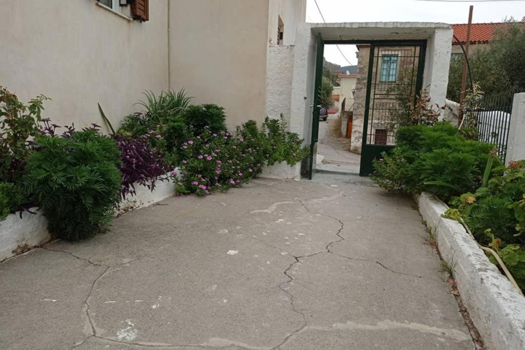Afroditis'S & Makis'S Apartment ليونِذيو المظهر الخارجي الصورة