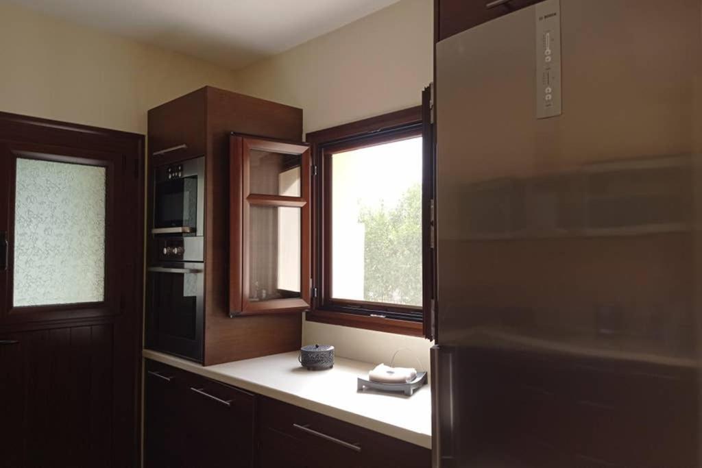 Afroditis'S & Makis'S Apartment ليونِذيو المظهر الخارجي الصورة